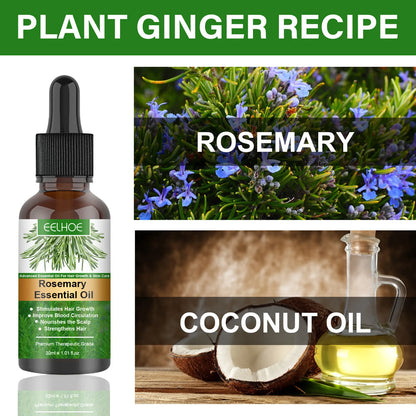 Rosemary Essential Oil for Hair Growth